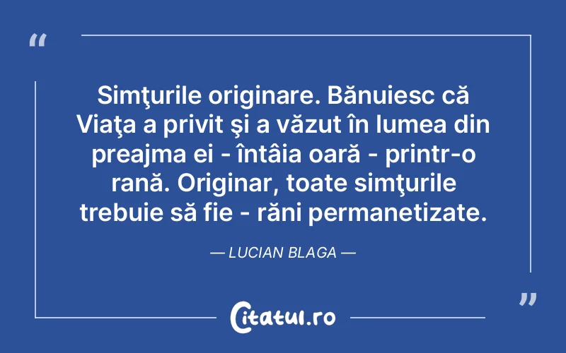 Citat Lucian Bl - citate viata