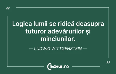 Lumea se descompune în fapte. Ludwig Wi...