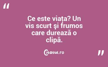 Ce este viaţa? Un vis scurt şi frumos care durează o clipă. ...