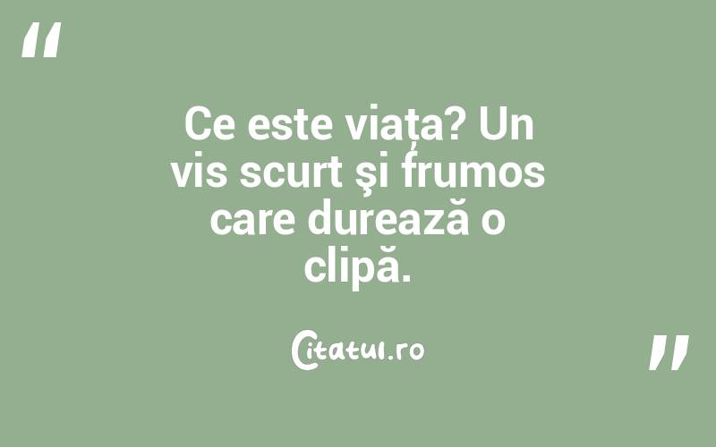 Ce este viaţa? Un vis scurt şi frumos care durează o clipă. 
