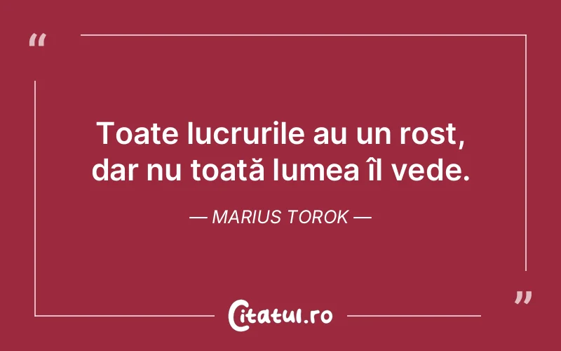 Citat Marius Torok - citate viata