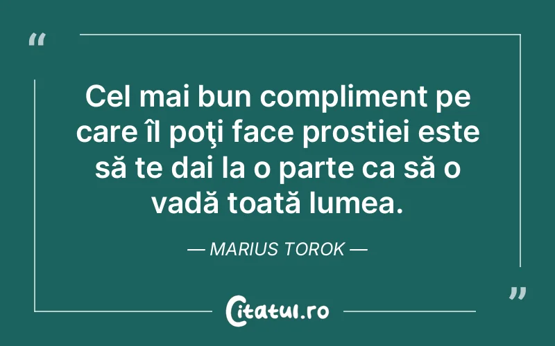 Citat Marius Torok - citate viata