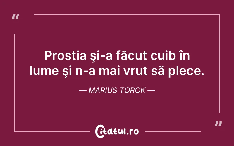 Citat Marius Torok - citate viata