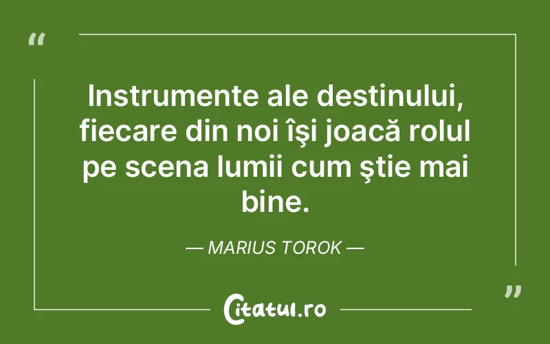 Citat Marius Torok - citate viata