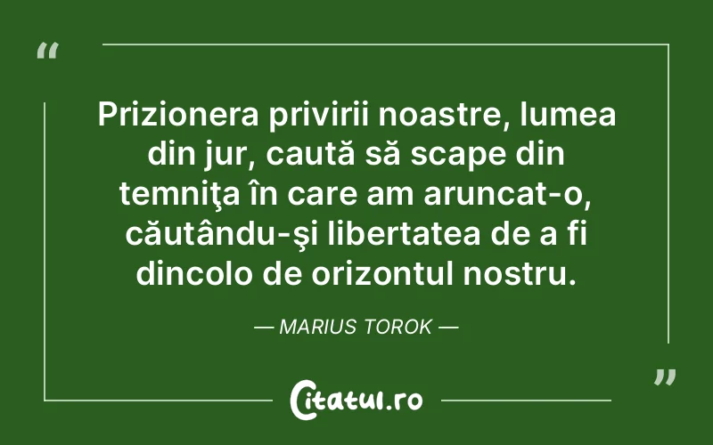 Citat Marius Torok - citate viata