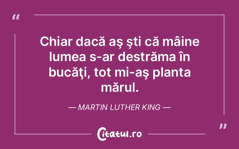 Citat Martin Luther King - citate viata