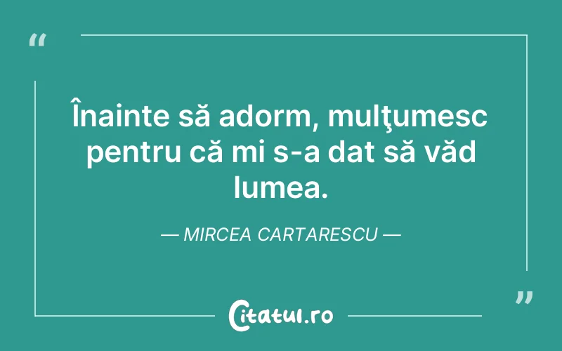 Citat Mircea Cartarescu - citate viata
