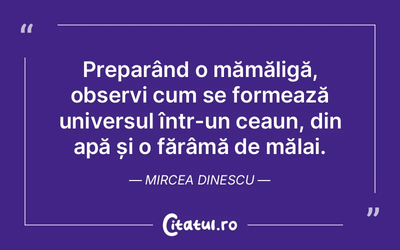 Citat Mircea Dinescu - citate viata