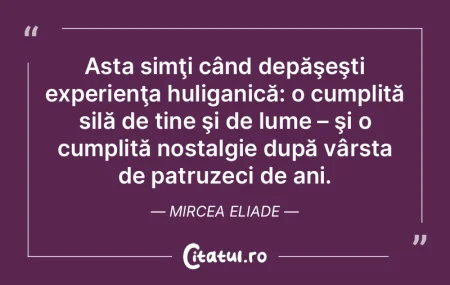 Nici o poetică din lume nu atinge perfe... Nici o poetică din lume nu atinge perfe...