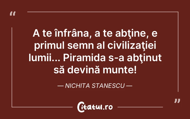 Citat Nichita Stanescu - citate viata