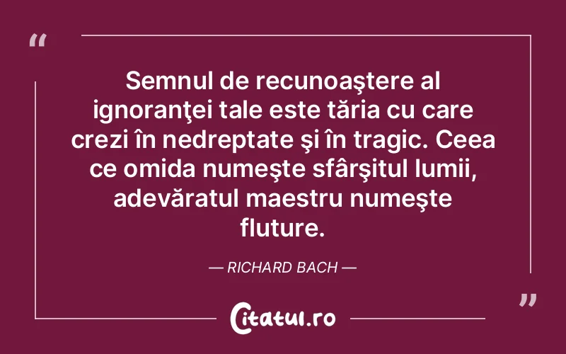 Citat Richard Bach - citate viata