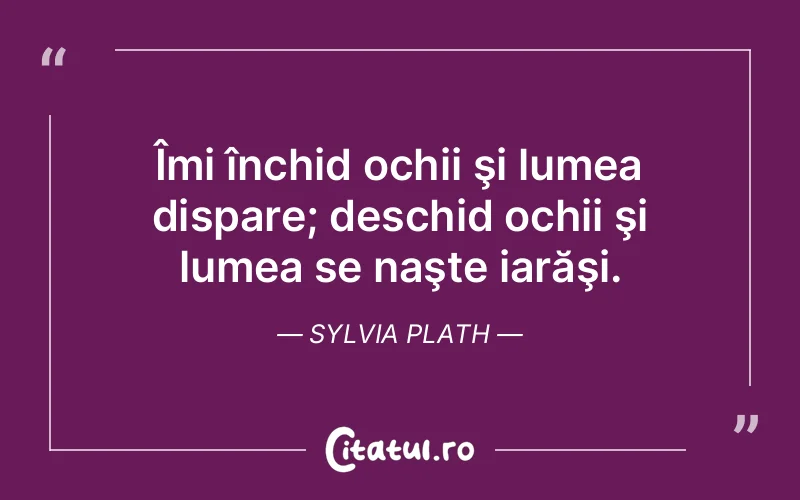 Citat Sylvia Plath - citate viata