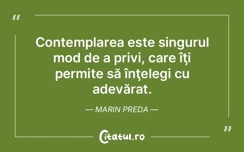 Citat Marin Preda - citate viata