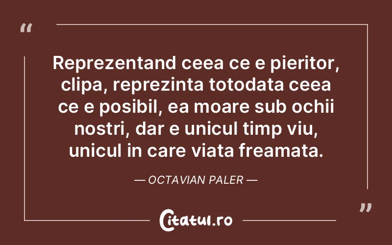 Citat Octavian Paler - citate viata