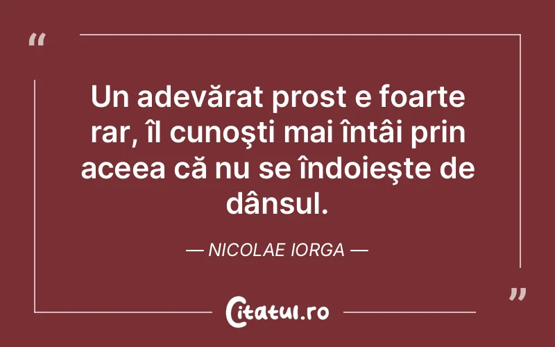 Citat Nicolae Iorga - citate viata
