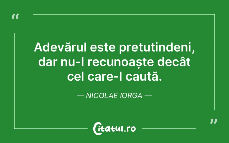 Citat Nicolae Iorga - citate viata