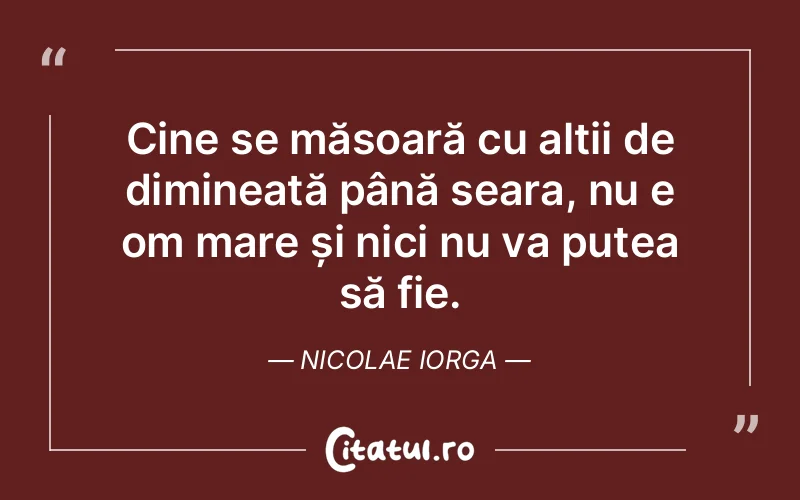 Citat Nicolae Iorga - citate viata