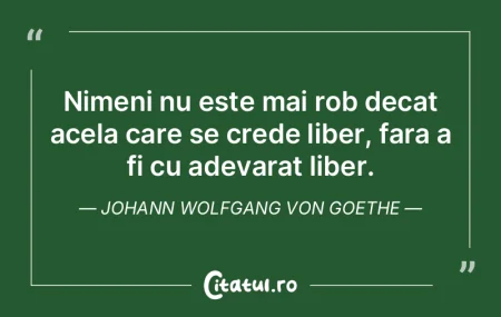 Caracteristica vinovatilor este nelinist...