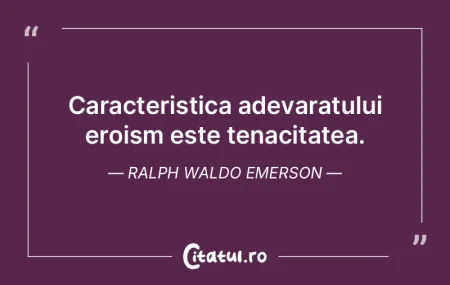 Oricine se proclama pe sine insusi judec... Oricine se proclama pe sine insusi judec...