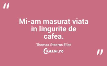 Mi-am masurat viata in lingurite de cafea. Thomas Stearns Eliot...