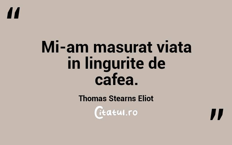 Mi-am masurat viata in lingurite de cafea. Thomas Stearns Eliot
