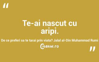 Te-ai nascut cu aripi. De ce preferi sa te tarai prin viata? Jalal al-Din Muhammad Rumi...