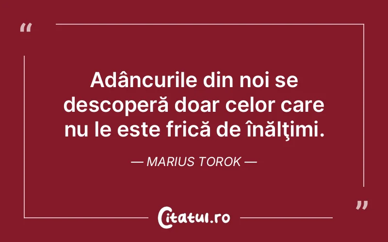 Citat Marius Torok - citate viata