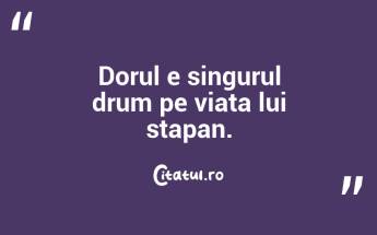 Dorul e singurul drum pe viata lui stapan. ...