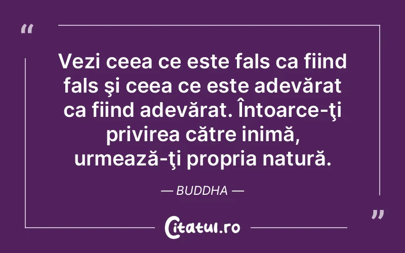 Citat Buddha - citate viata