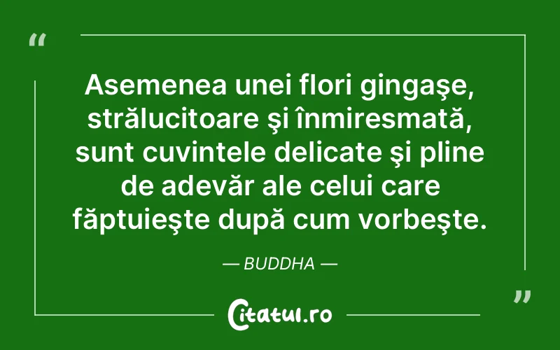 Citat Buddha - citate viata