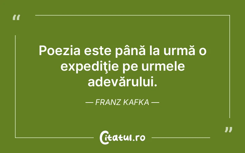Citat Franz Kafka - citate viata