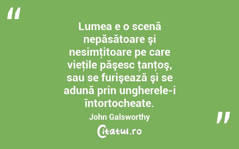 Lumea e o scenă nepăsătoare şi nesimţitoare pe care vieţile păşesc ţanţoş, sau se furişează şi se adună prin ungherele-i întortocheate. John Galsworthy