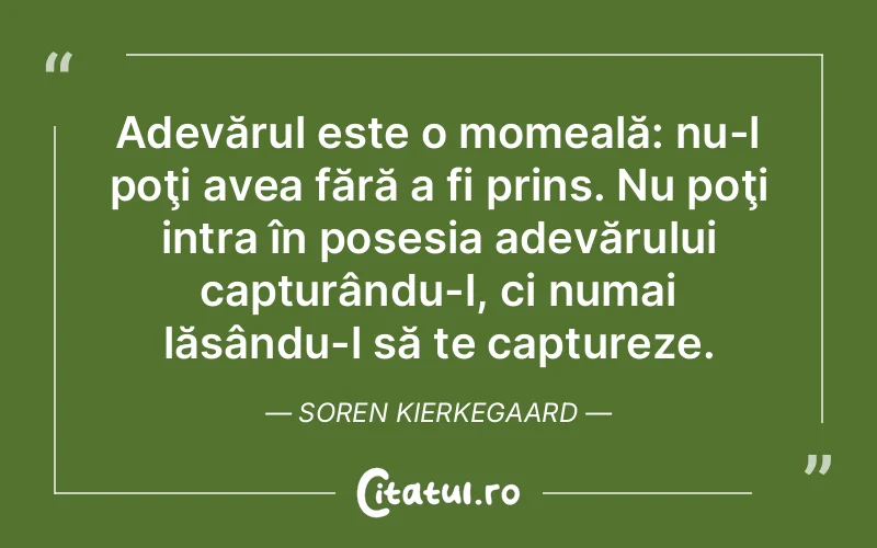 Citat Soren Kierkegaard - citate viata