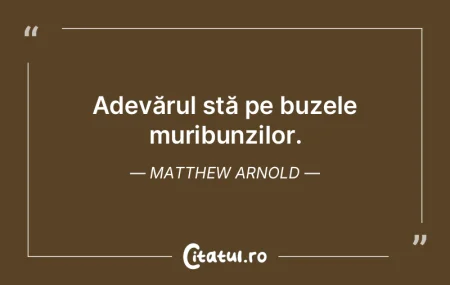 Nimic nu ne poate jigni mai tare decât ... Nimic nu ne poate jigni mai tare decât ...