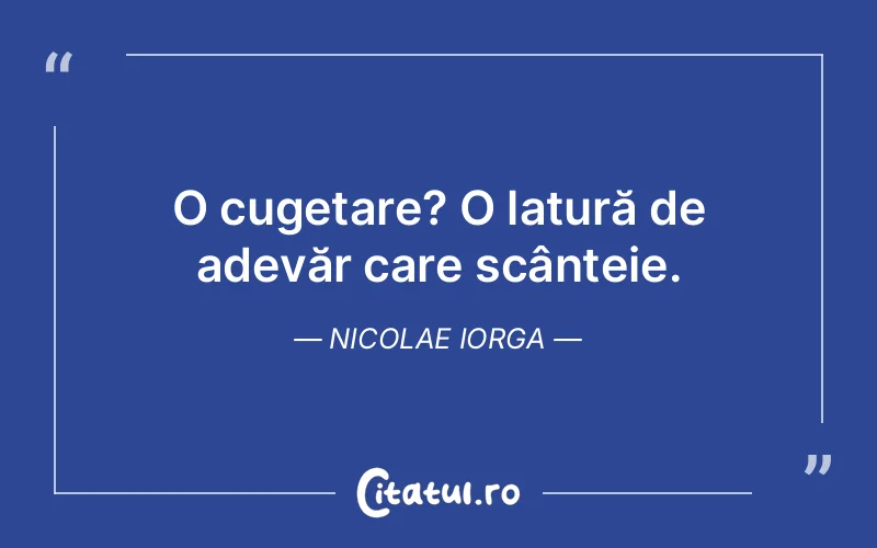 Citat Nicolae Iorga - citate viata