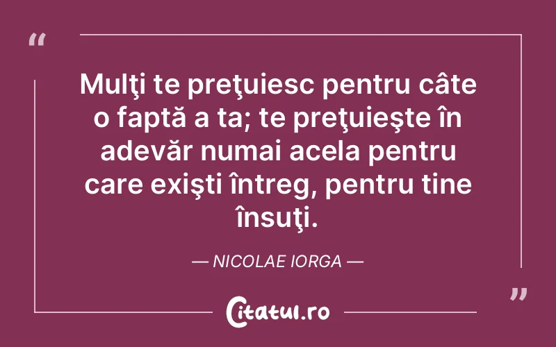 Citat Nicolae Iorga - citate viata