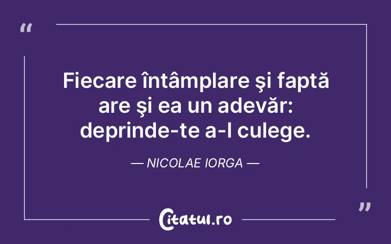 Citat Nicolae Iorga - citate viata