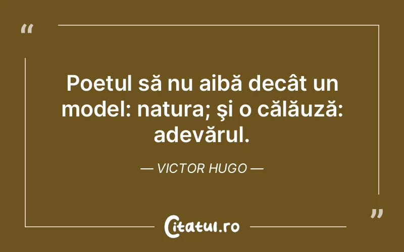 Citat Victor Hugo - citate viata