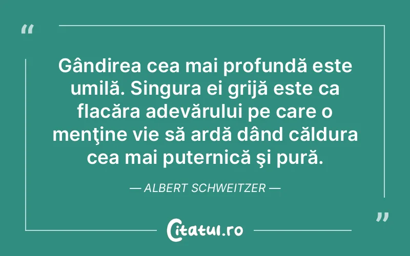 Citat Albert Schweitzer - citate viata