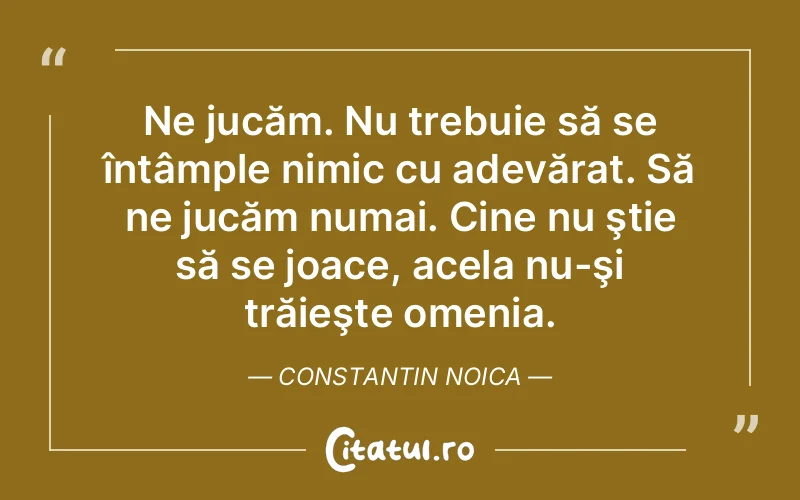 Citat Constantin Noica - citate viata