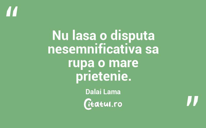 Nu lasa o disputa nesemnificativa sa rupa o mare prietenie. Dalai Lama