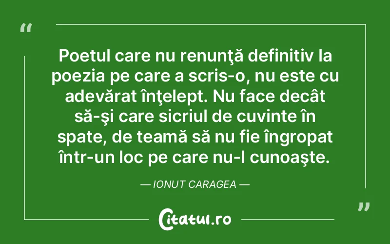 Citat Autor necunoscut - citate viata