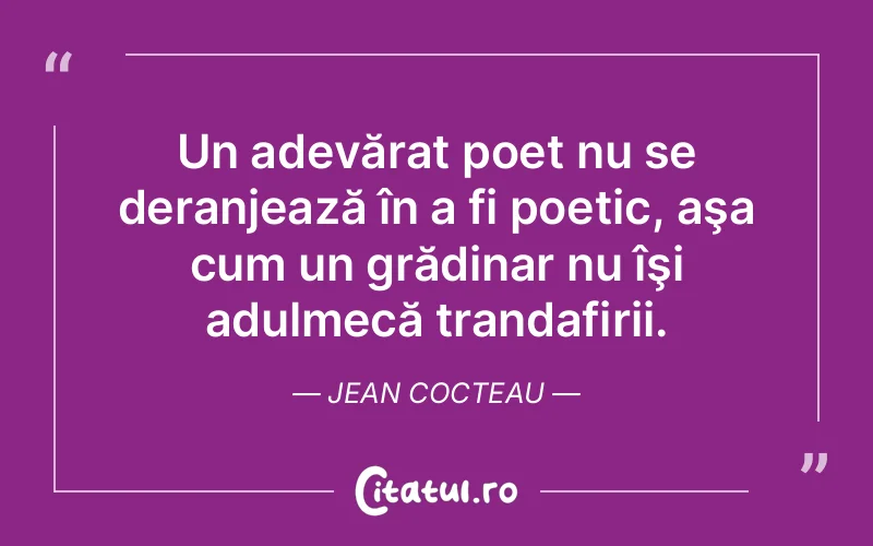 Citat Jean Cocteau - citate viata