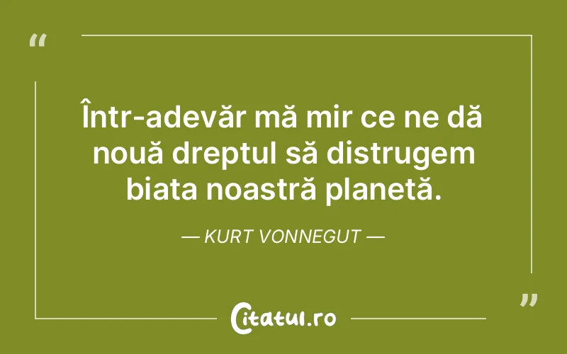 Citat Kurt Vonnegut - citate viata