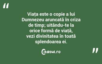 Viaţa este o copie a lui Dumnezeu aruncată în criza de timp; uitându-te la orice formă de viaţă, vezi divinitatea în toată splendoarea ei. ...
