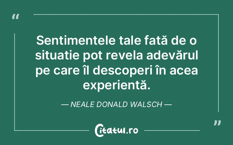 Citat Neale Donald Walsch - citate viata