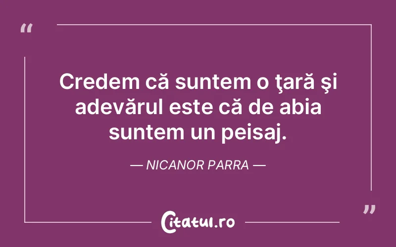 Citat Nicanor Parra - citate viata