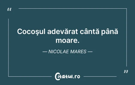 Din disperare, adevărul niciodată nu r... Din disperare, adevărul niciodată nu r...