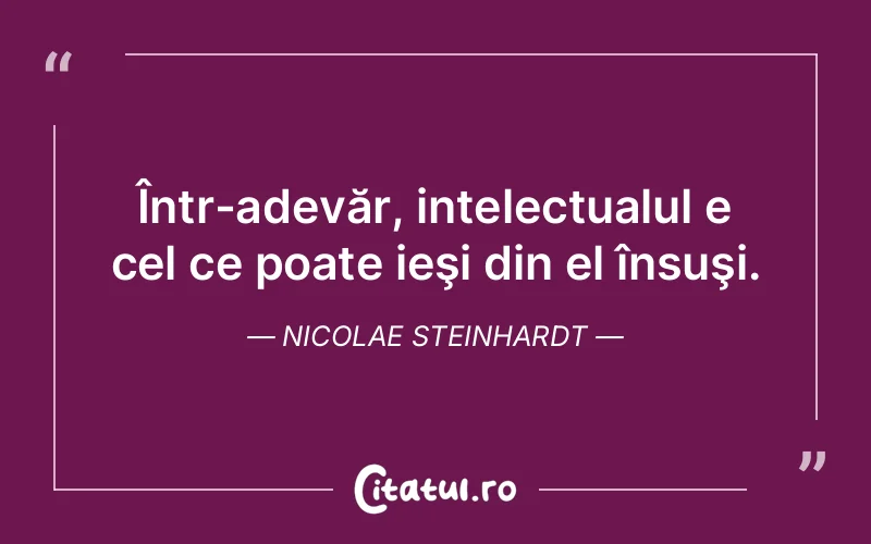 Citat Nicolae Steinhardt - citate viata