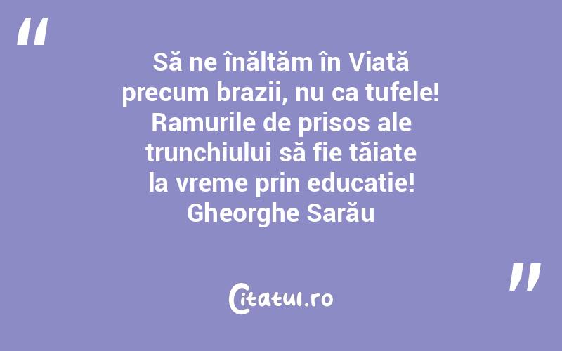 Să ne înălțăm în Viață precum brazii, nu ca tufele! Ramurile de prisos ale trunchiului să fie tăiate la vreme prin educație! Gheorghe Sarău